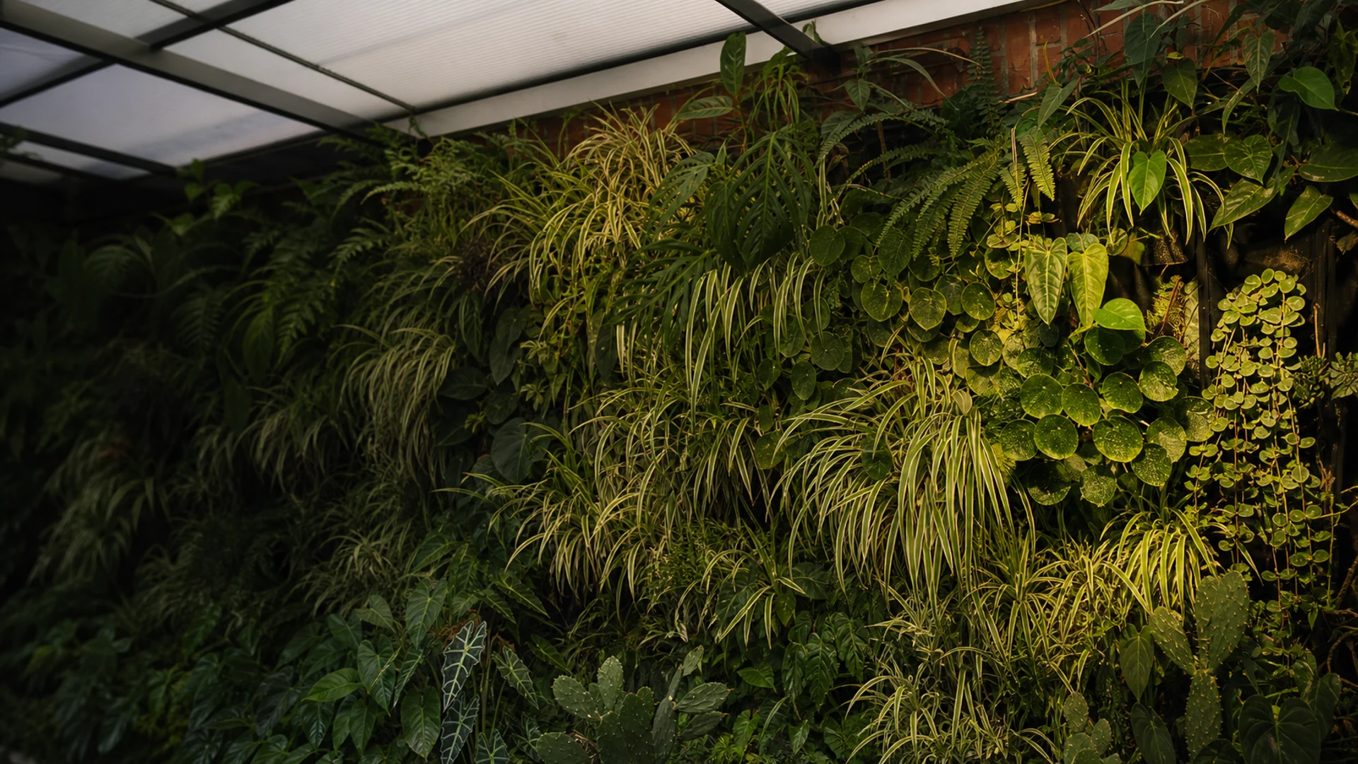 Mur végétal naturel mature conçu et cultivé par Tibaldo Jungle