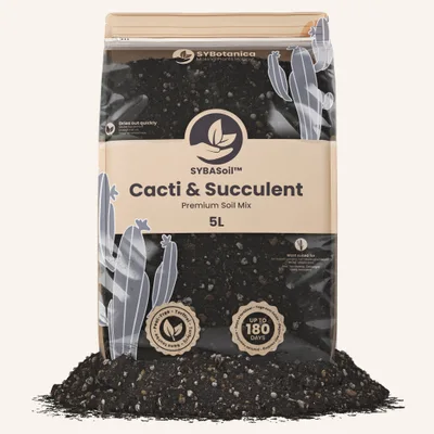 Conditionnement Sybotanica — Cacti & Succulent Mix