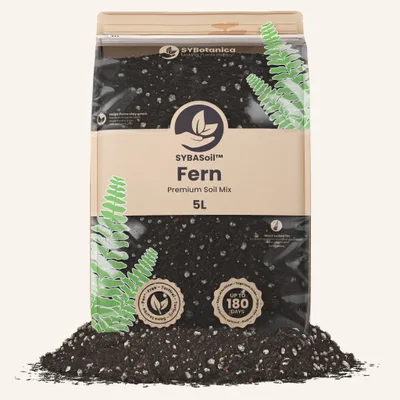 Conditionnement Sybotanica — Fern Mix