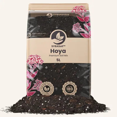 Conditionnement Sybotanica — Hoya Mix
