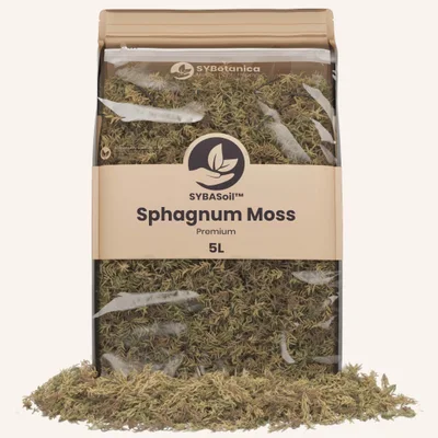 Conditionnement Sybotanica — Sphagnum Moss