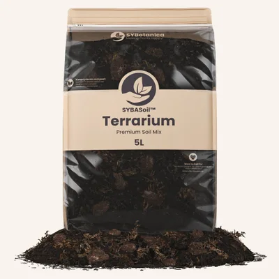 Conditionnement Sybotanica — Terrarium Mix