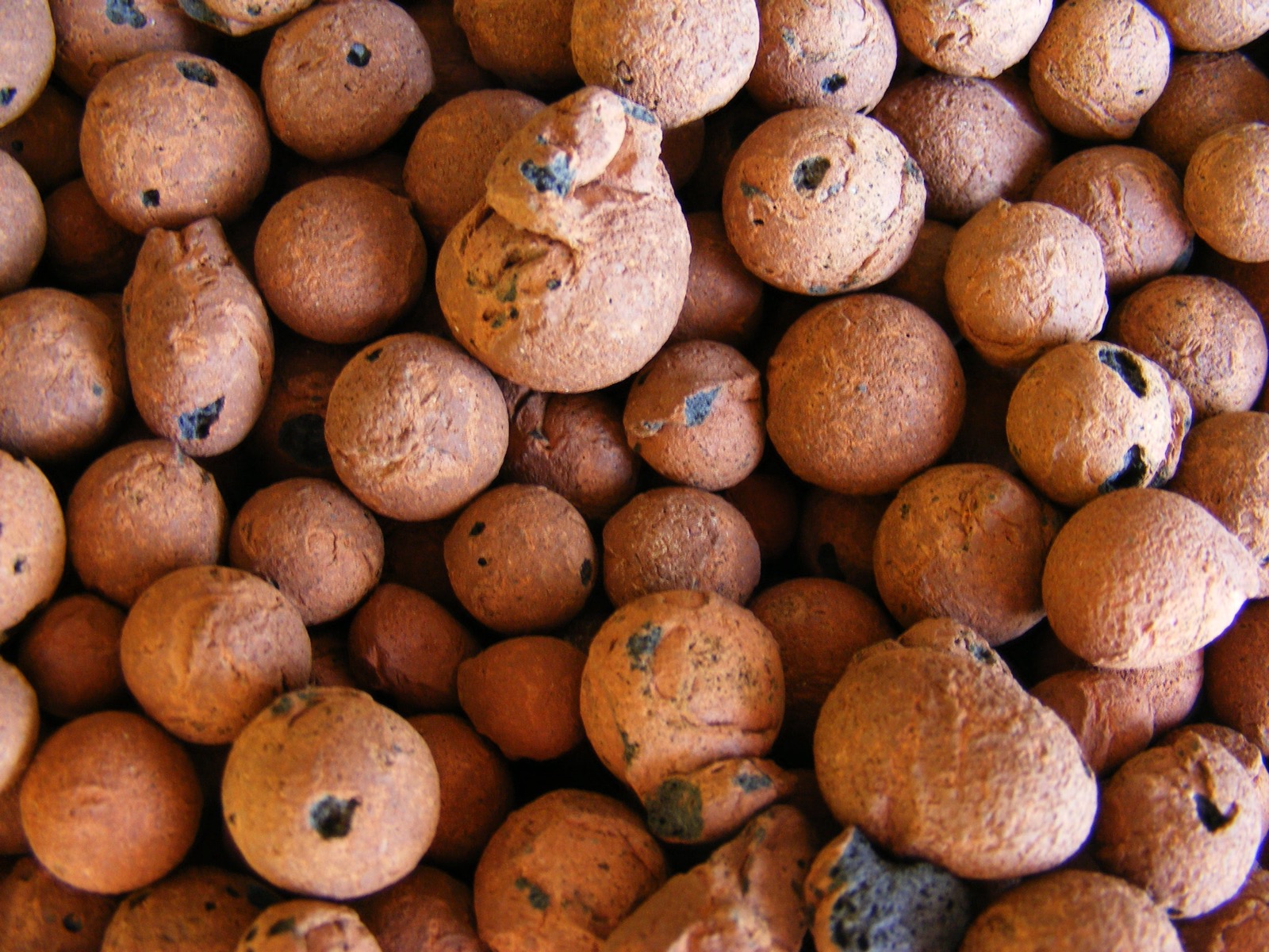 Billes d’argile expansée pour plantes et culture semi-hydroponique