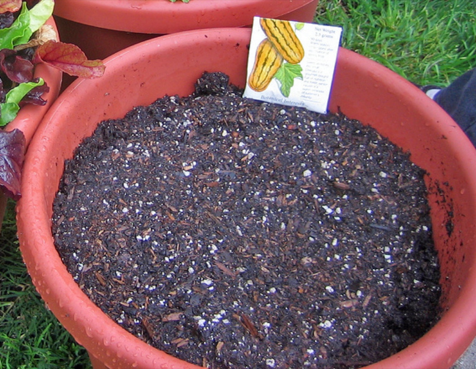 Terreau horticole brun pour rempotage de plantes d’intérieur à Lille